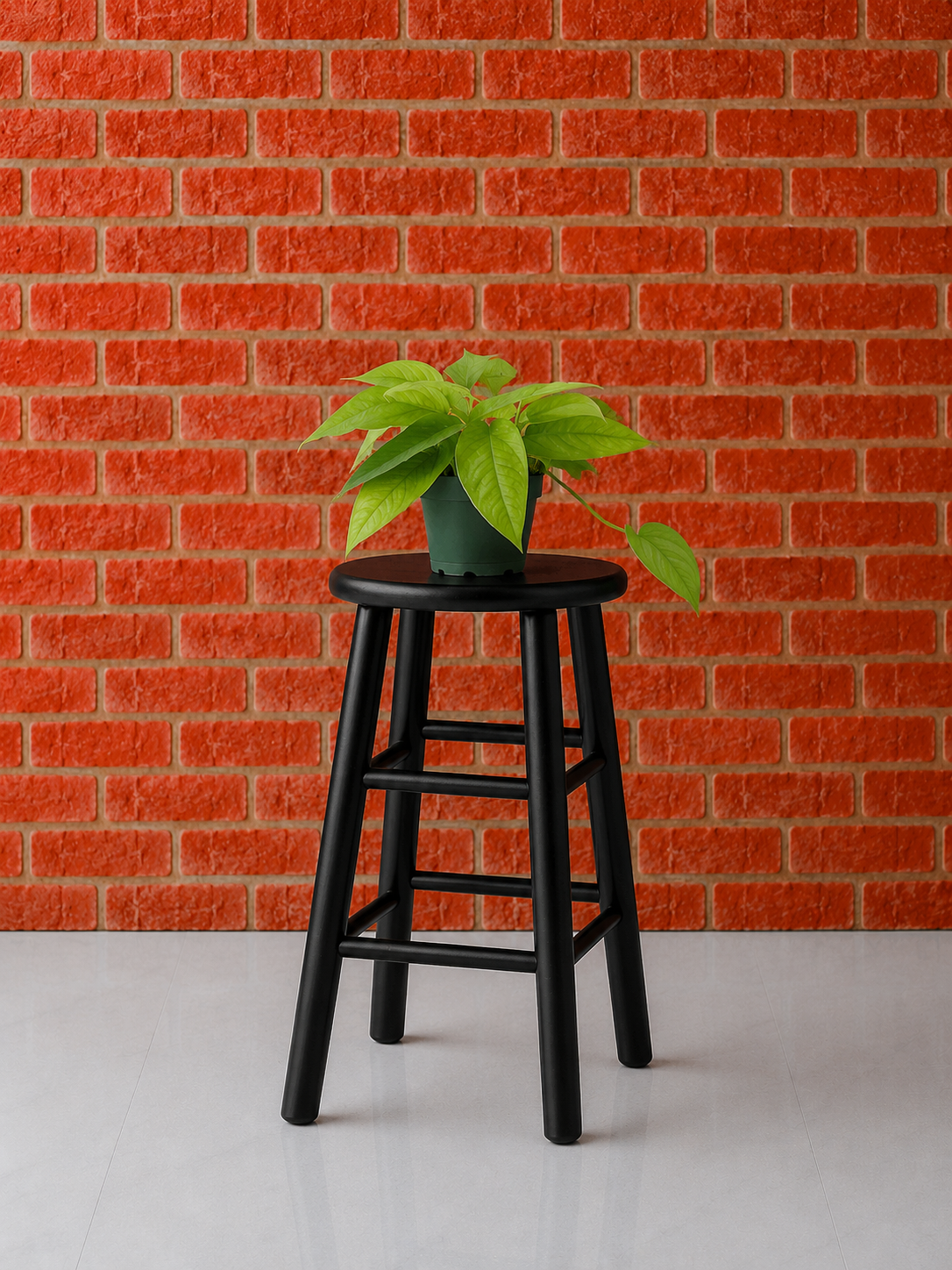 Cebu Blue Pothos (Epipremnum pinnatum 'Cebu Blue')