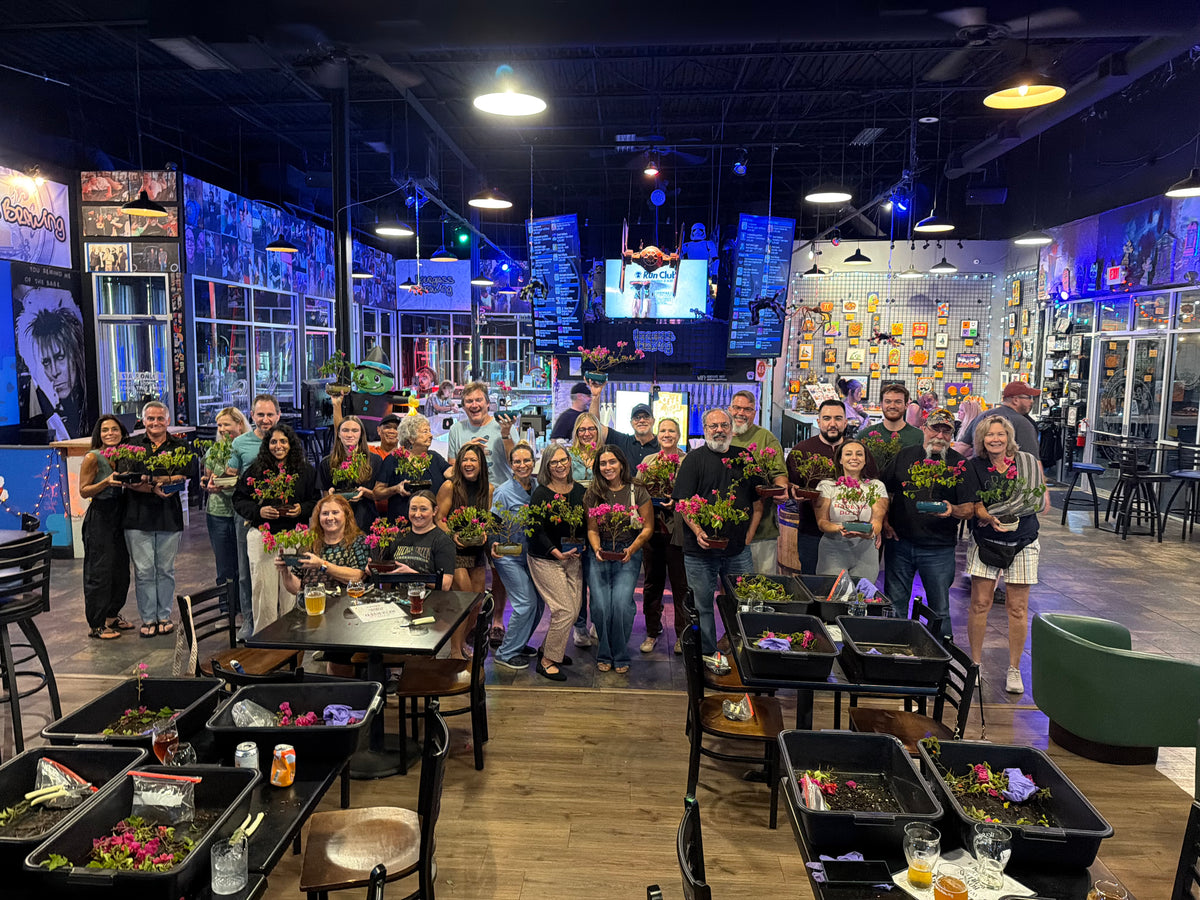 Bougainvillea Bonsai Workshop at Hourglass Brewing
