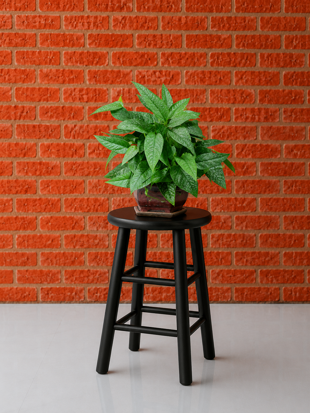 Cebu Blue Pothos (Epipremnum pinnatum 'Cebu Blue')