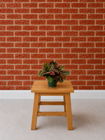 A small wooden stool with a potted Red Maranta, the Prayer plant on top, set against a red brick wall and light gray floor.